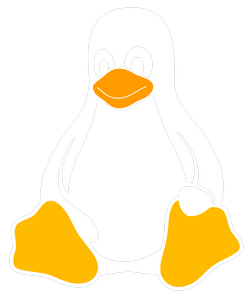 Основные команды в ОС Linux